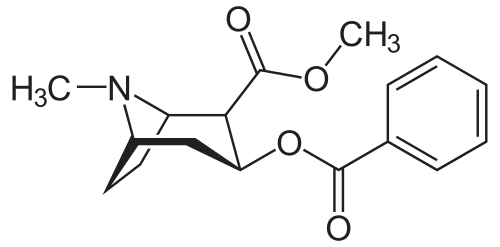 Chemical structure of Cocaine