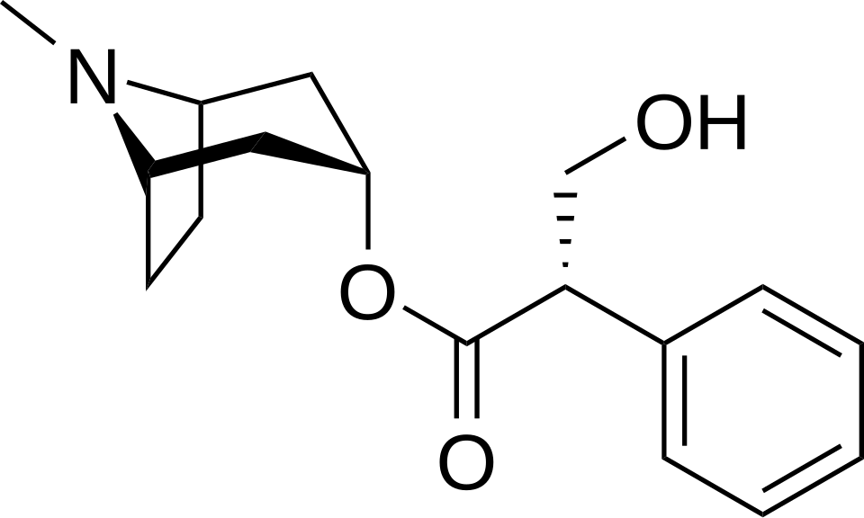 Chemical structure of Hyoscyamine