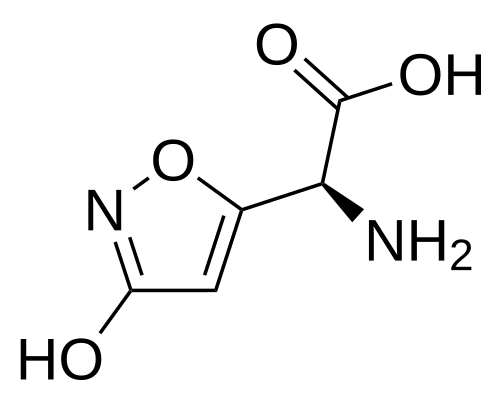 Chemical structure of Ibotenic Acid