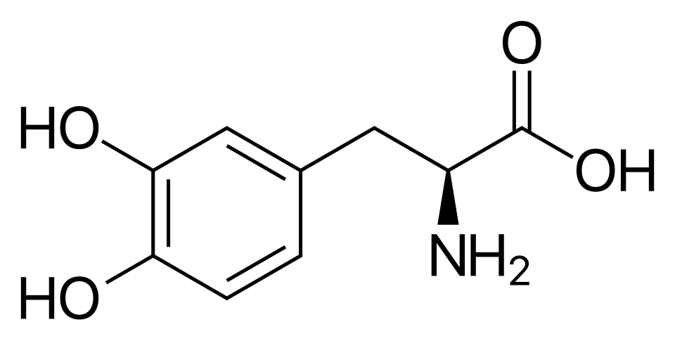 Chemical structure of Levodopa (L-DOPA)