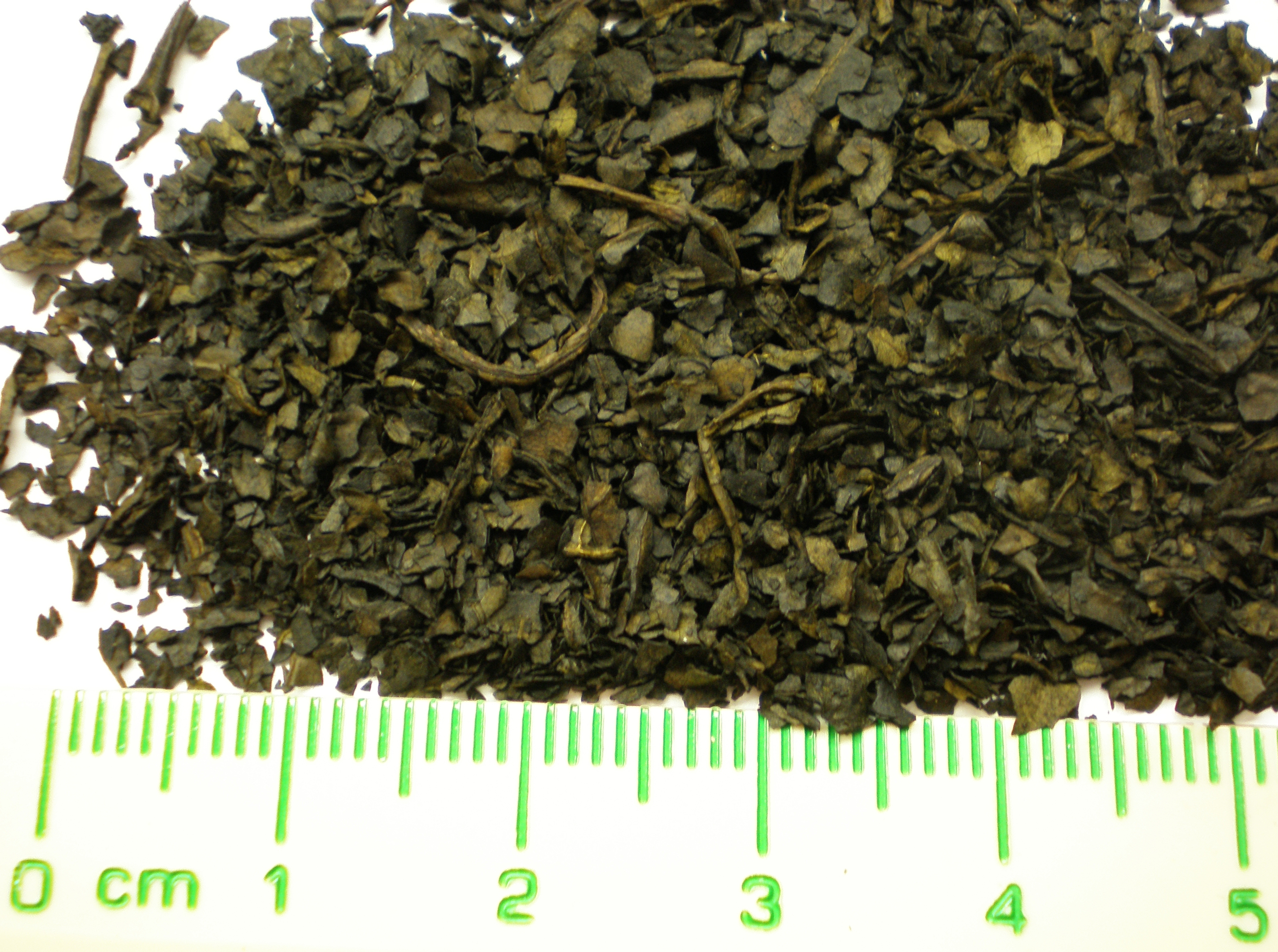 salvia divinorum